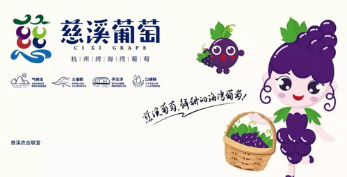 慈溪市第十三届葡萄节暨新浦镇第二届群众文化艺术节开幕式隆重举行