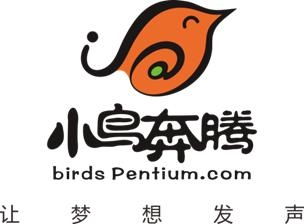 广西小鸟奔腾文化传播