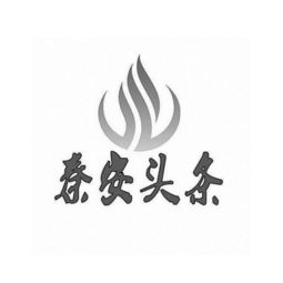 秦安头条文化传媒中心