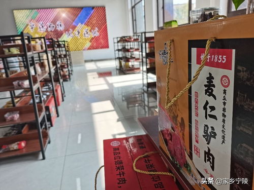 新媒体 高峰论坛 在河南轩豆文化传播举办